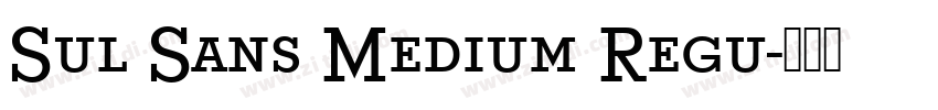 Sul Sans Medium Regu字体转换